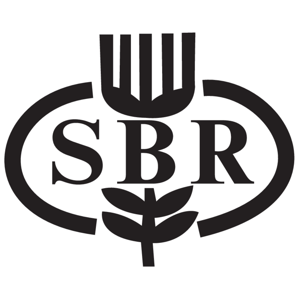 SBR,Bank