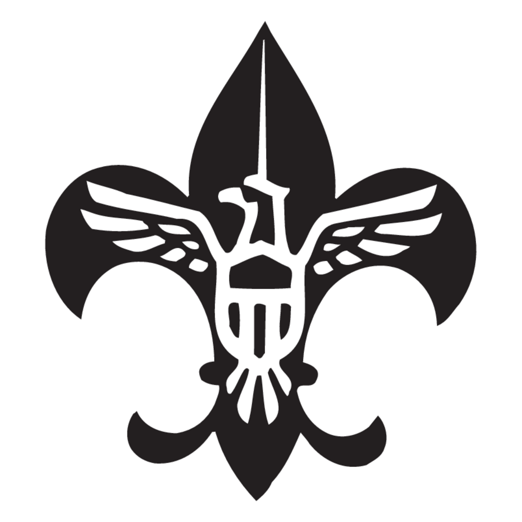 Scouting,USA(90)