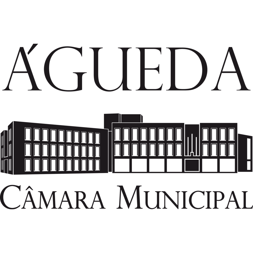 Camara Municipal de Agueda, Politics 