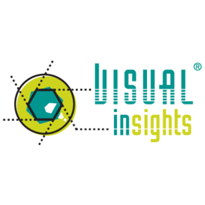 Visual Insights Logo