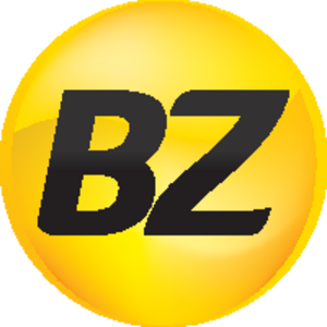 BZ Propaganda & Marketing Logo