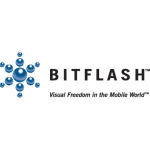 BitFlash(272) Logo