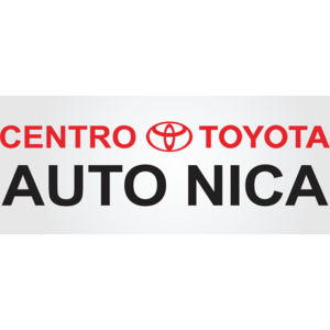 Auto Nica Logo