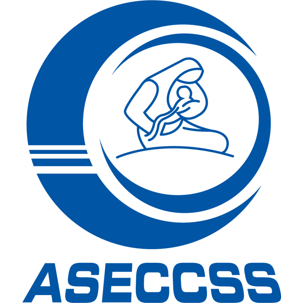 ASECCSS