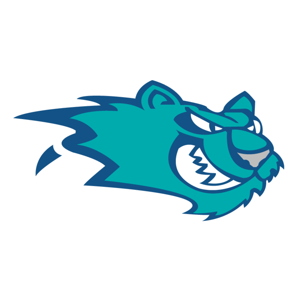 Worcester,IceCats