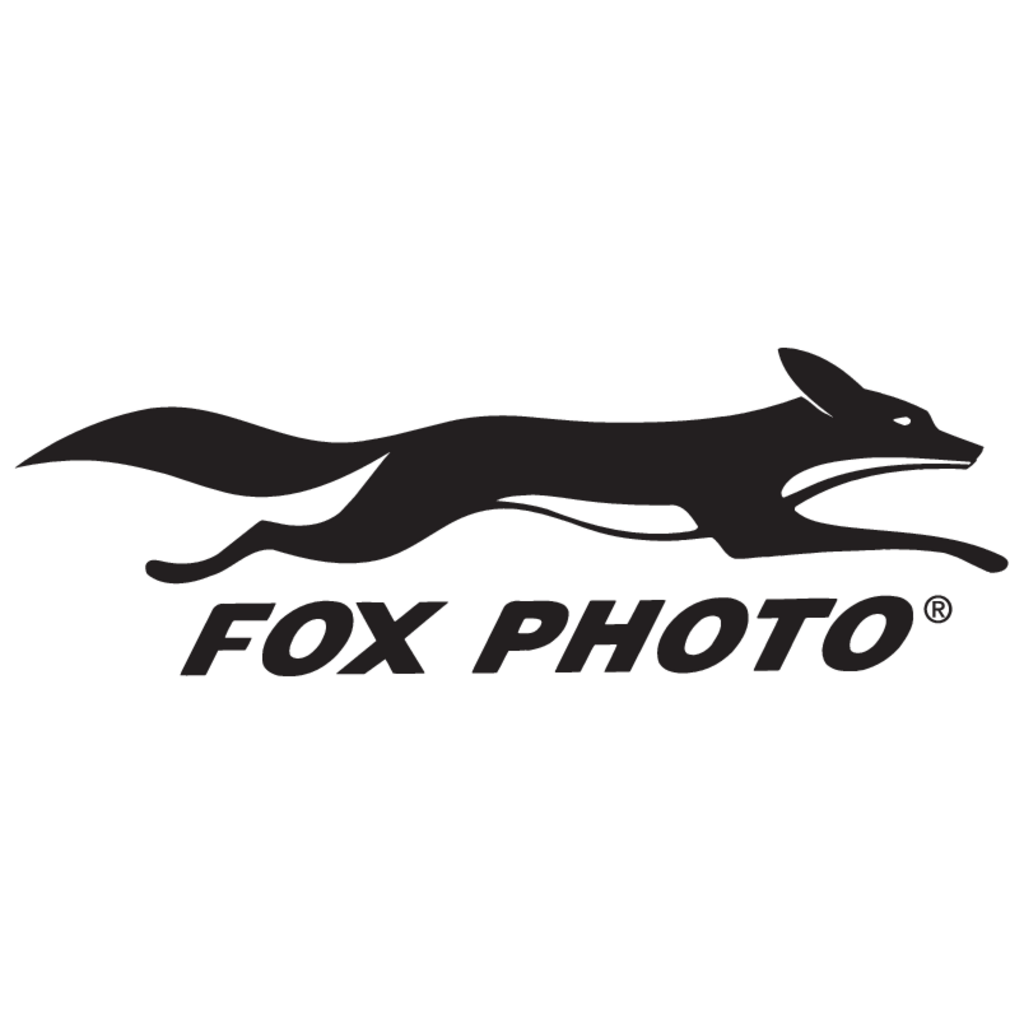 Fox,Photo
