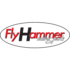 Flyhammer