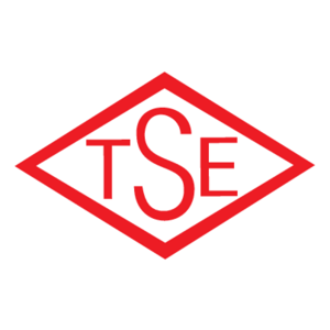 TSE(5) Logo