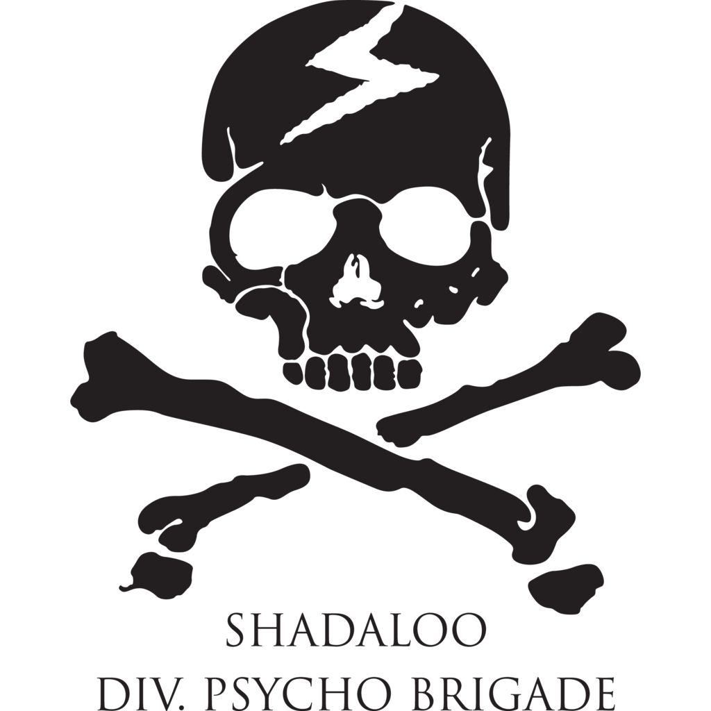 Shadaloo,Div.,Psycho,Brigade.