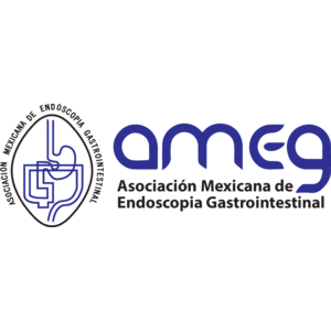 Ameg Logo