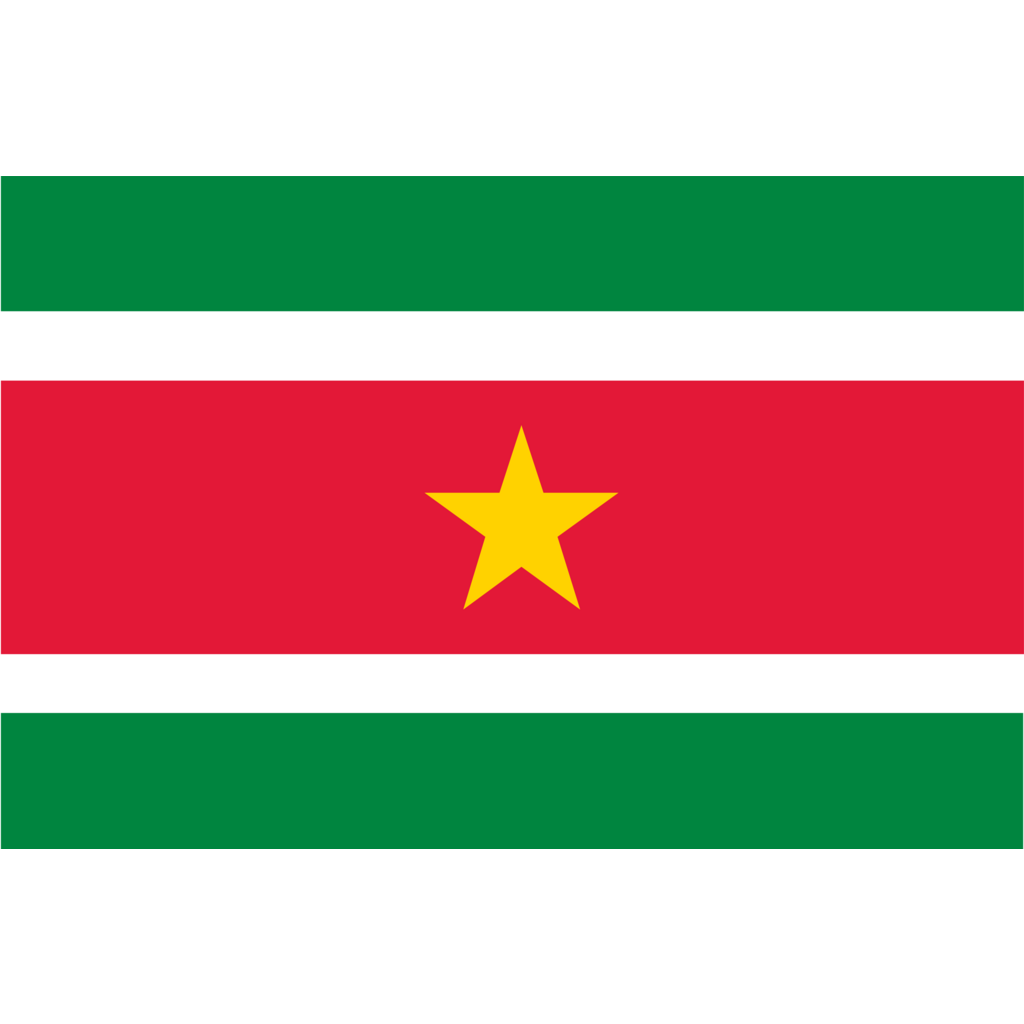 Logo, Design, Suriname, Rising Road