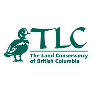 TLC(64) Logo