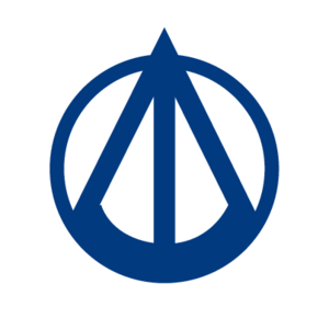 Chartered Accountants(234) Logo