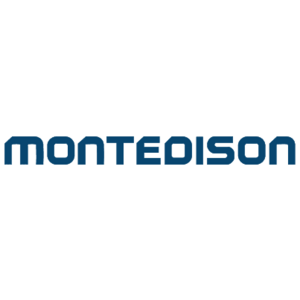 Montedison(100) Logo