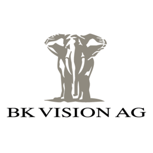 BK Vision Logo