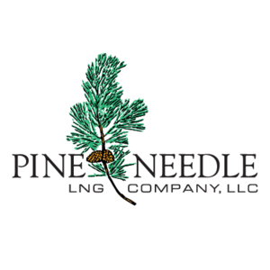 Pine Needle Logo