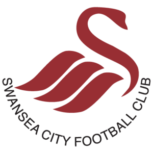 Swansea City FC(133)