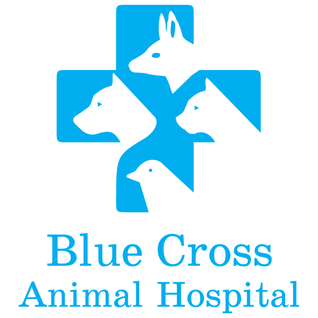 Blue,Cross,Animal,Hospital