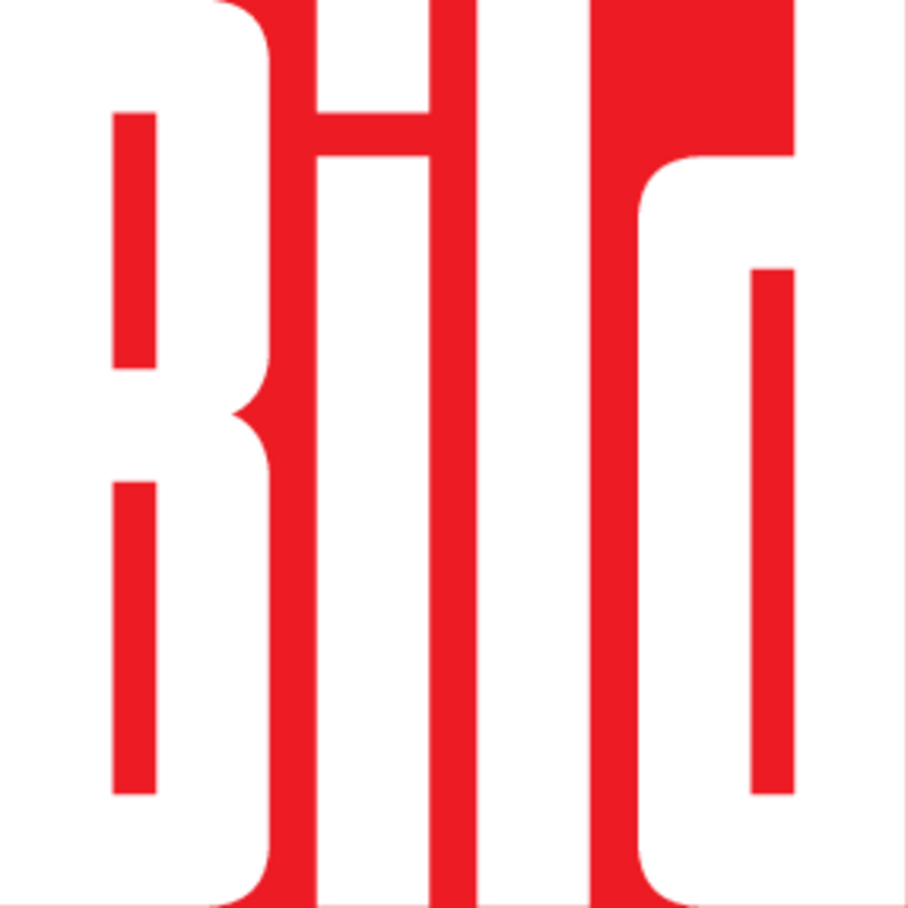 Bildzeitung Logo