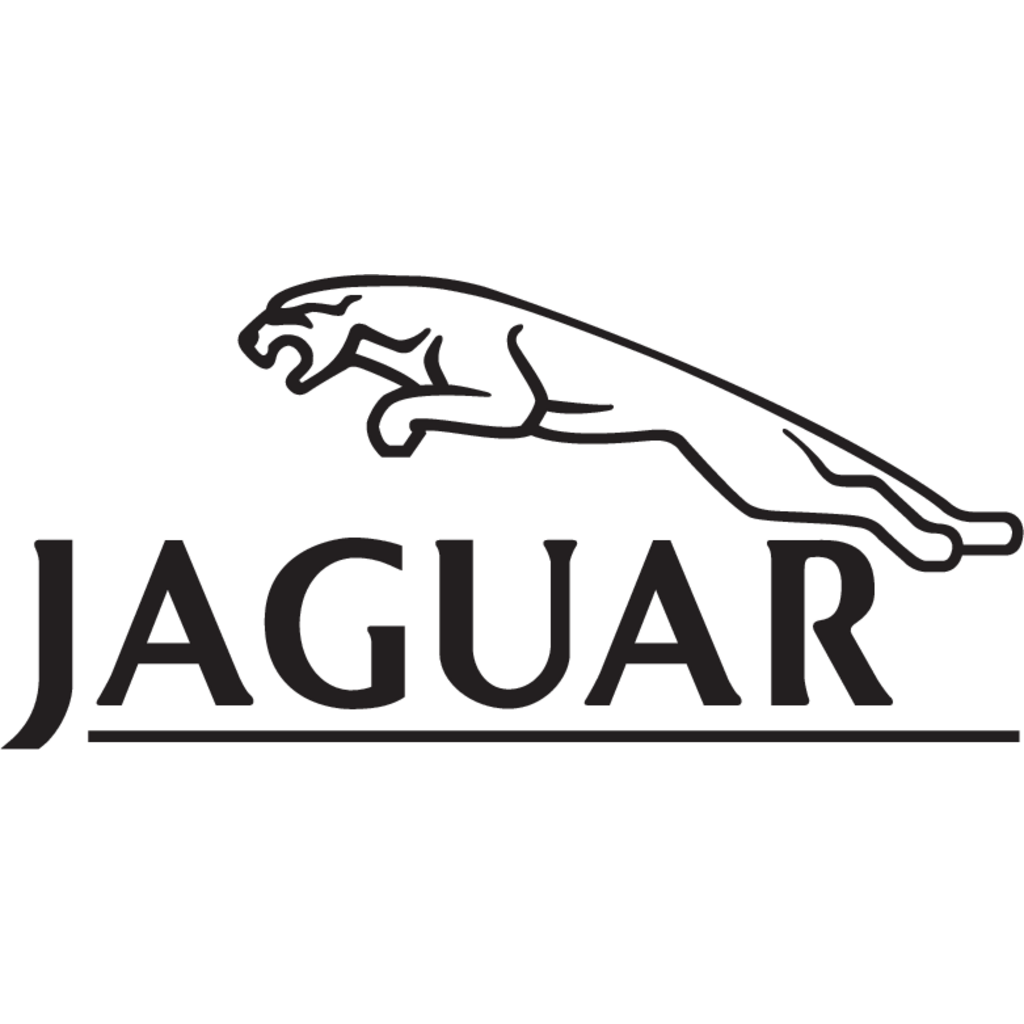 Jaguar(27)