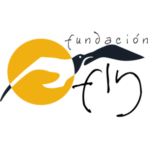 Fundacion Fly