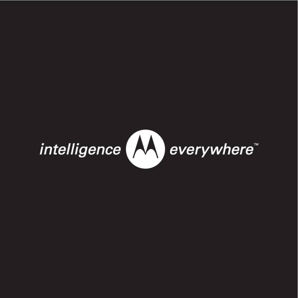 Intelligence,Everywhere(94)
