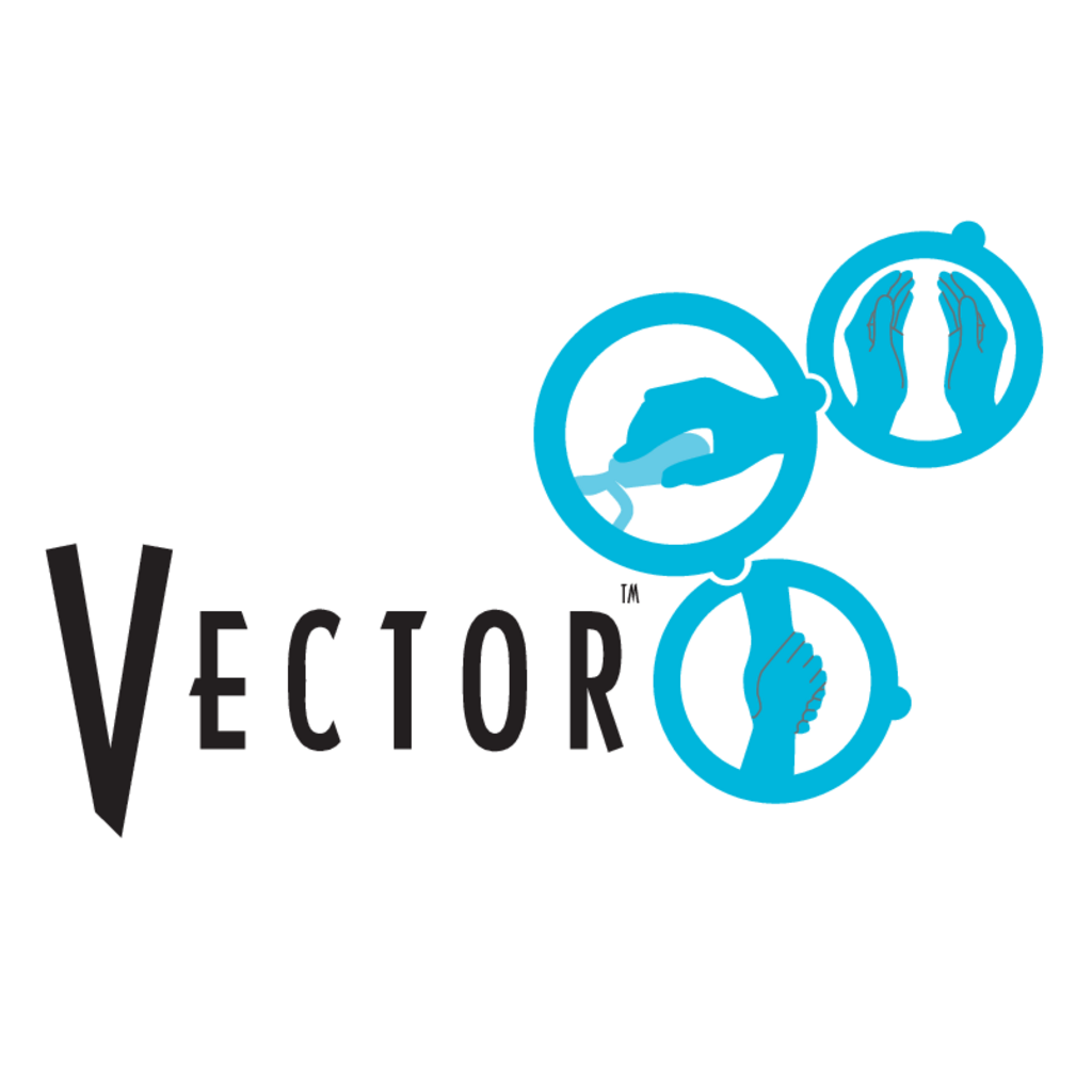 Vector,Networks