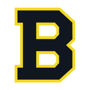 Boston Bruins(97) Logo