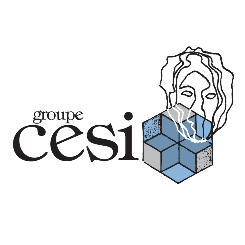 CESI,Groupe