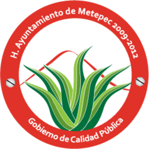 H. Ayuntamiento de Metepec 2009-2012 Logo