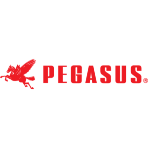 PEGASUS MÁQUINAS DE COSTURA Logo