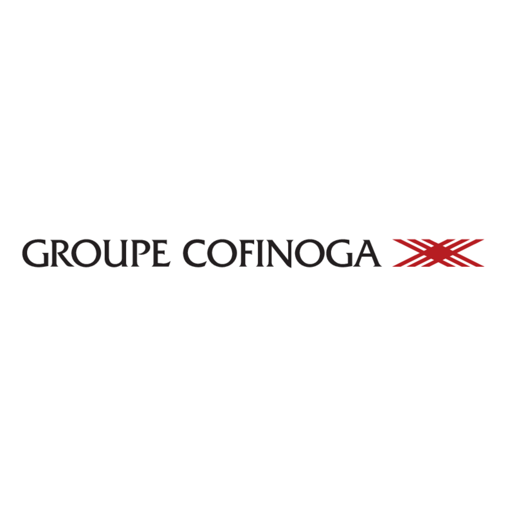 Cofinoga,Groupe