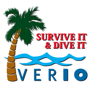 Verio(138) Logo
