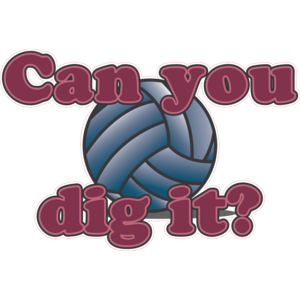 Dig it Volleyball