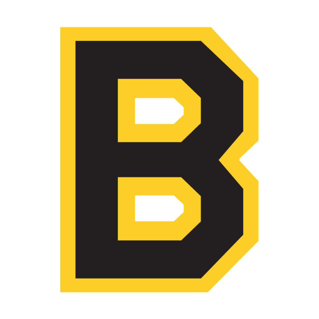 Boston,Bruins(90)