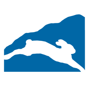 Snowshoe Mountain(146) Logo