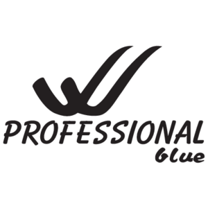 Professional Blue Logo