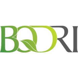 BQDRI Logo