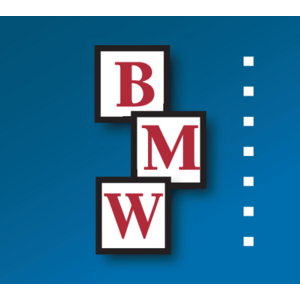 BMW Constructors Logo
