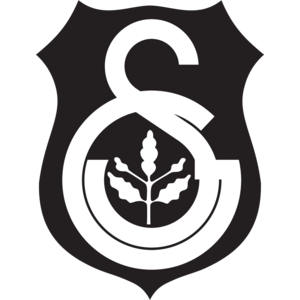Istanbul United Logo