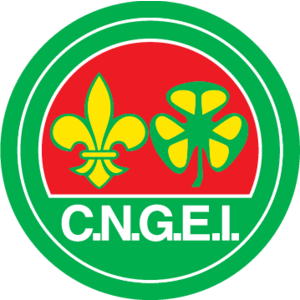 CNGEI Logo