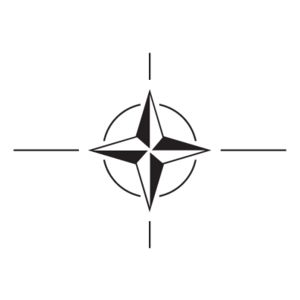 NATO(100) Logo