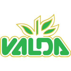 Valda Logo