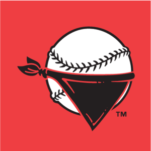 Quad City River Bandits(19) Logo