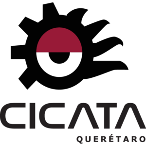 Cicata Logo