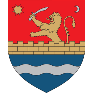 Consiliul Judetean Timis Logo