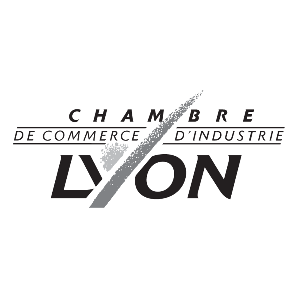 CCI,Lyon