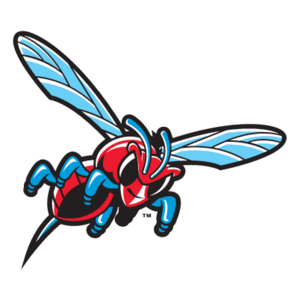 Delaware State Hornets(184) Logo