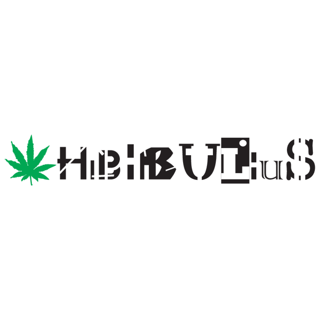 Hibibulius