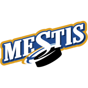 Mestis Logo